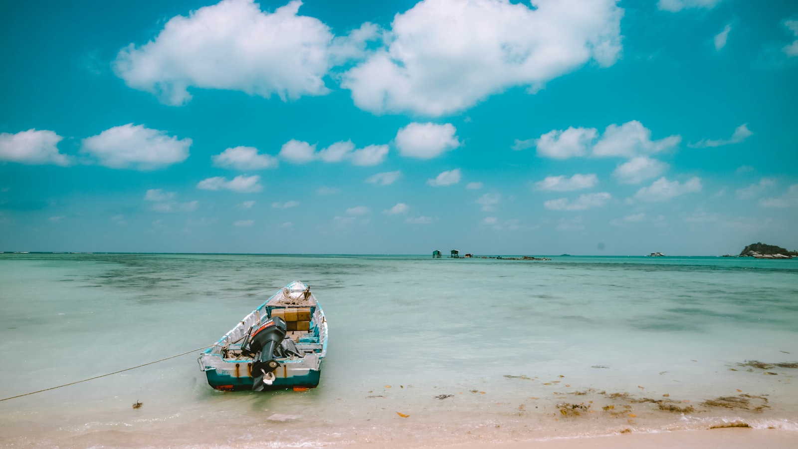 white boat on seashore during daytime