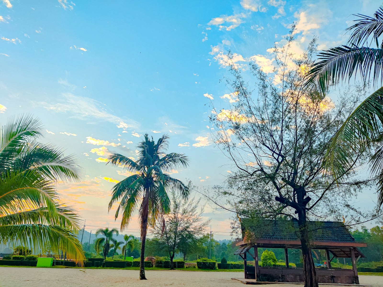 a gazebo in the middle of a park with palm trees