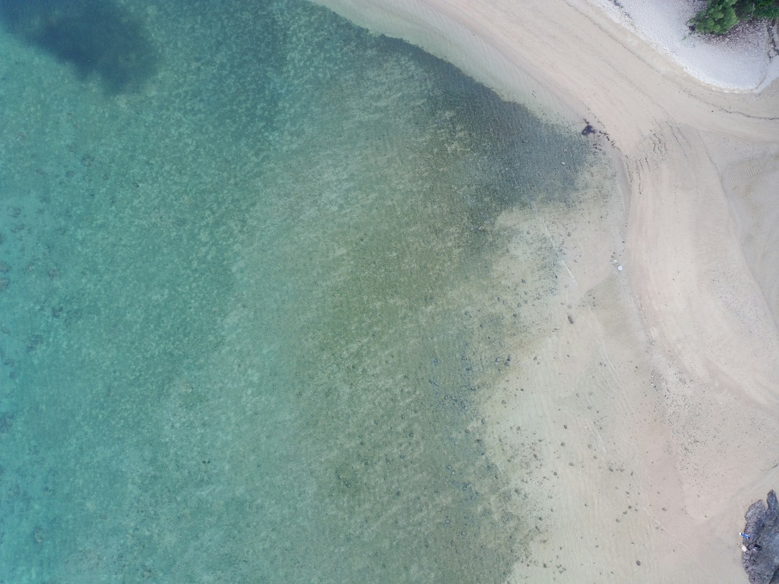 Aerial view of a sandy beach meeting clear turquoise water.